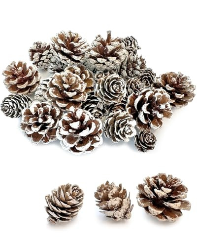 30PCS Christmas Pine Cones, Natural Snow Pinecones Ornaments, Pine Cones for Christmas Tree, Gift Tag, Garland, Wreaths, Pine Cones Decorations for Fall, Xmas DIY Crafts Home Decorations | Amazon (US)