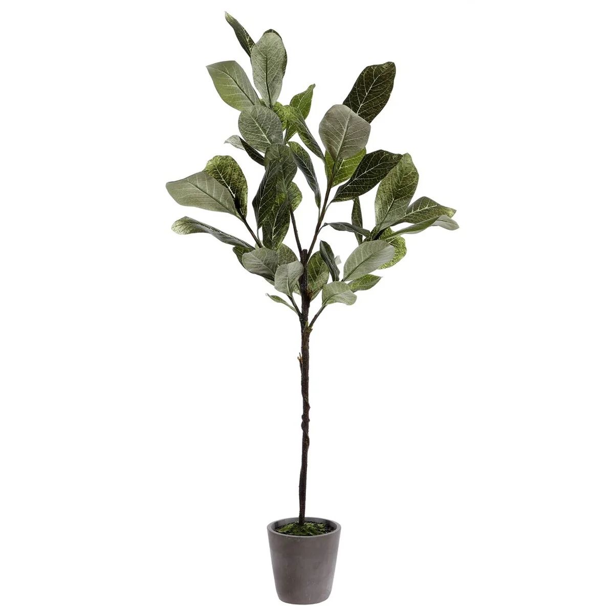 Safavieh Faux Magnolia Potted Tree in Grey N/A Lord & Taylor | Lord & Taylor