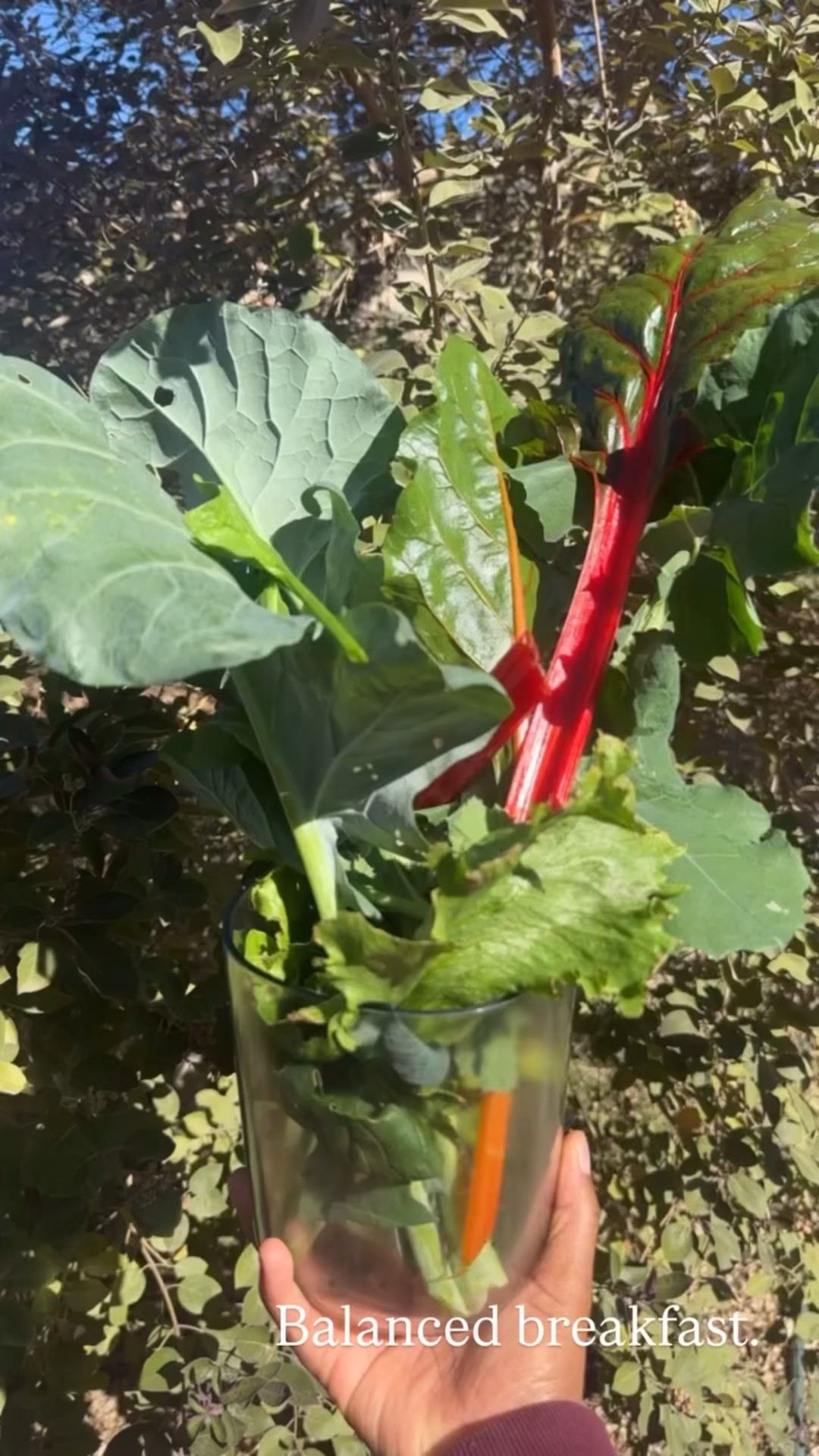 Balanced breakfast.

#LTKgrwm #LTKdayinmylife #LTKselfcare