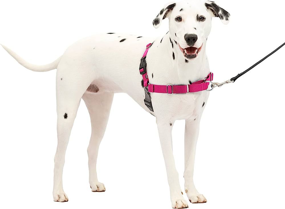 PetSafe Easy Walk Dog Harness - No Pull Dog Harness - Medium/Large, Raspberry | Amazon (US)