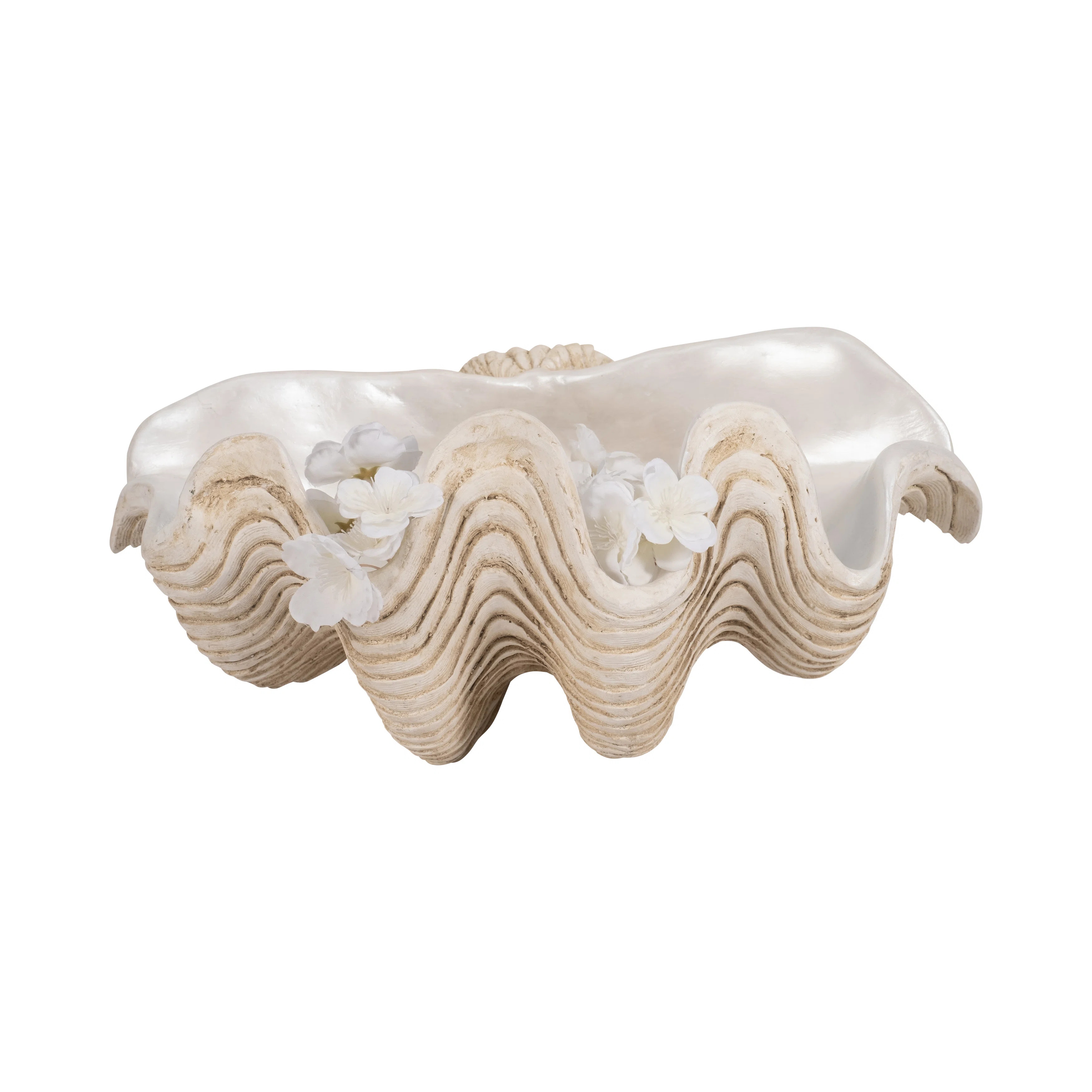 Dovecove Pearlized Shell Bowl, Novelty & Reviews | Wayfair | Wayfair North America