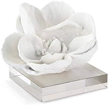 Regina Andrew Magnolia Objet 5" High White/Natural White Sculpture | Amazon (US)