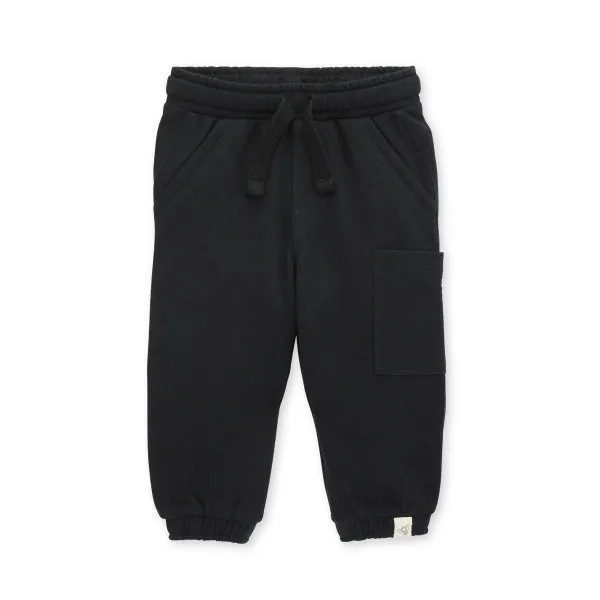Organic Cotton Boy French Terry Pant - 2 Toddler | Burts Bees Baby