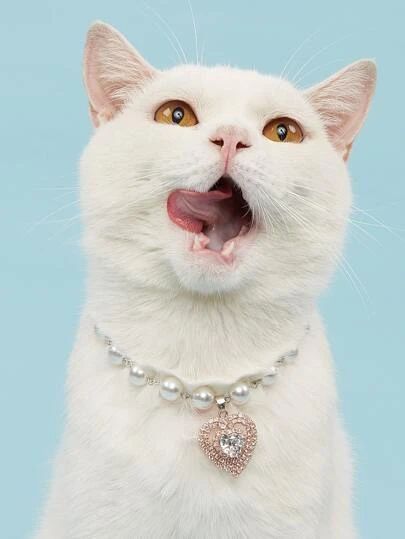 Faux Pearl Decor Pet Necklace | SHEIN