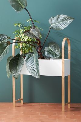 Grove Planter | Anthropologie (US)