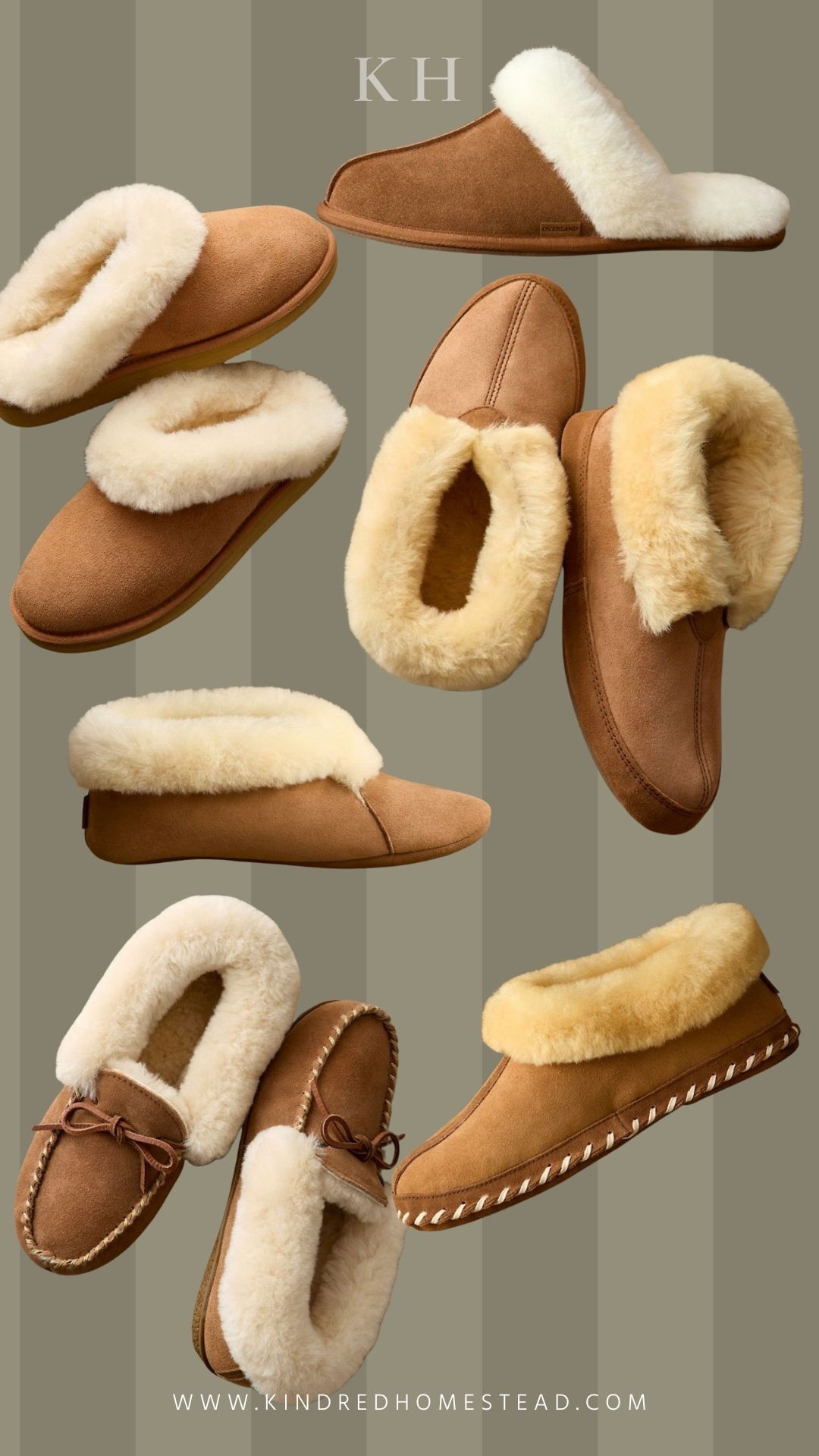 One of those gifts that feels both practical and thoughtful—cozy shearling slippers that make winter mornings feel a little more special. The kind you’ll reach for long after the holidays. 

#LTKmorningroutine #LTKHoliday #LTKGiftGuide