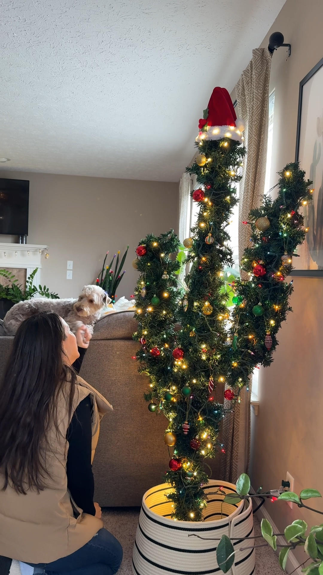 Pre lit cactus Christmas Tree 

#LTKSeasonal #LTKHome #LTKHoliday