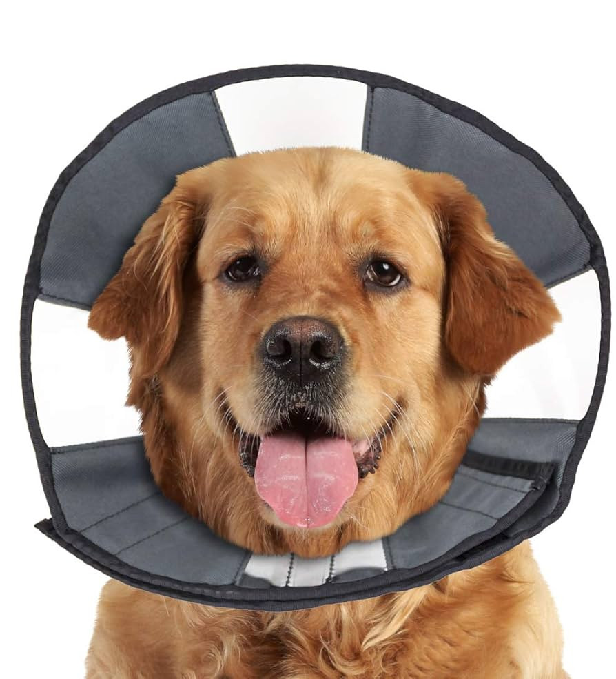 ZenPet Pet Recovery Cone E-Collar for Dogs and Cats - Always Use with Your Pet's Everyday Collar ... | Amazon (US)