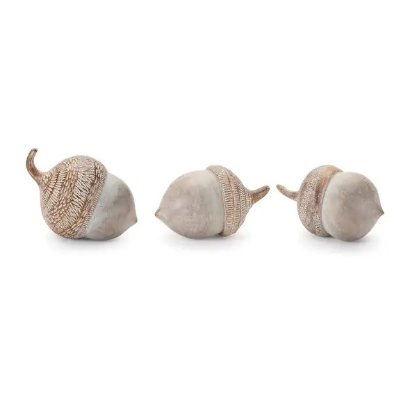 White Washed Etched Acorn (Set of 6) | Bed Bath & Beyond