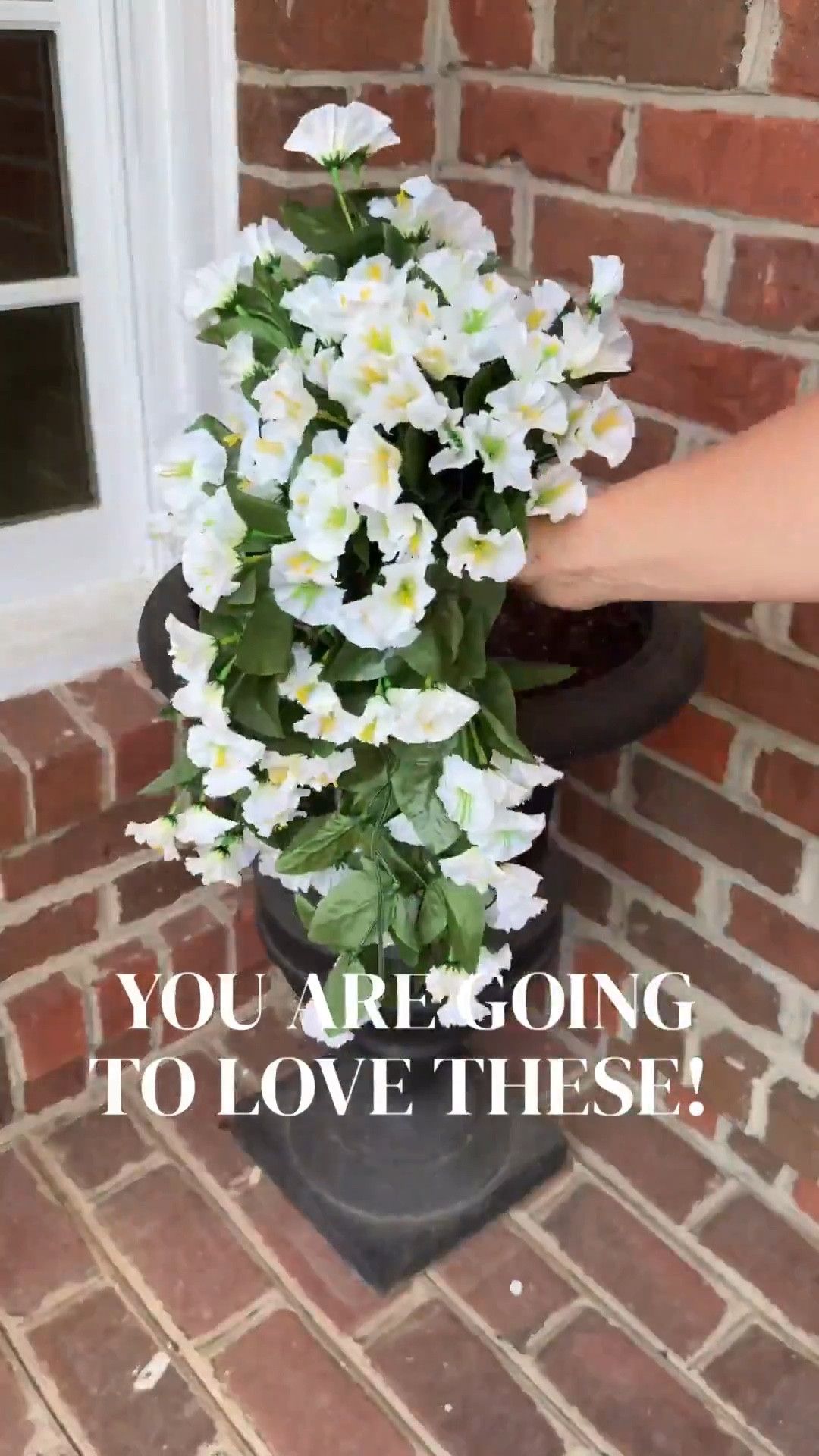 The prettiest artificial flowers for your porch or patio! Comes in 13 color options !#LTKWatchNow #archedmanor #modernhome #neutralhome #homedecor #casualstyle #neutralstyle 


#LTKHome #LTKSpringSale #LTKSeasonal