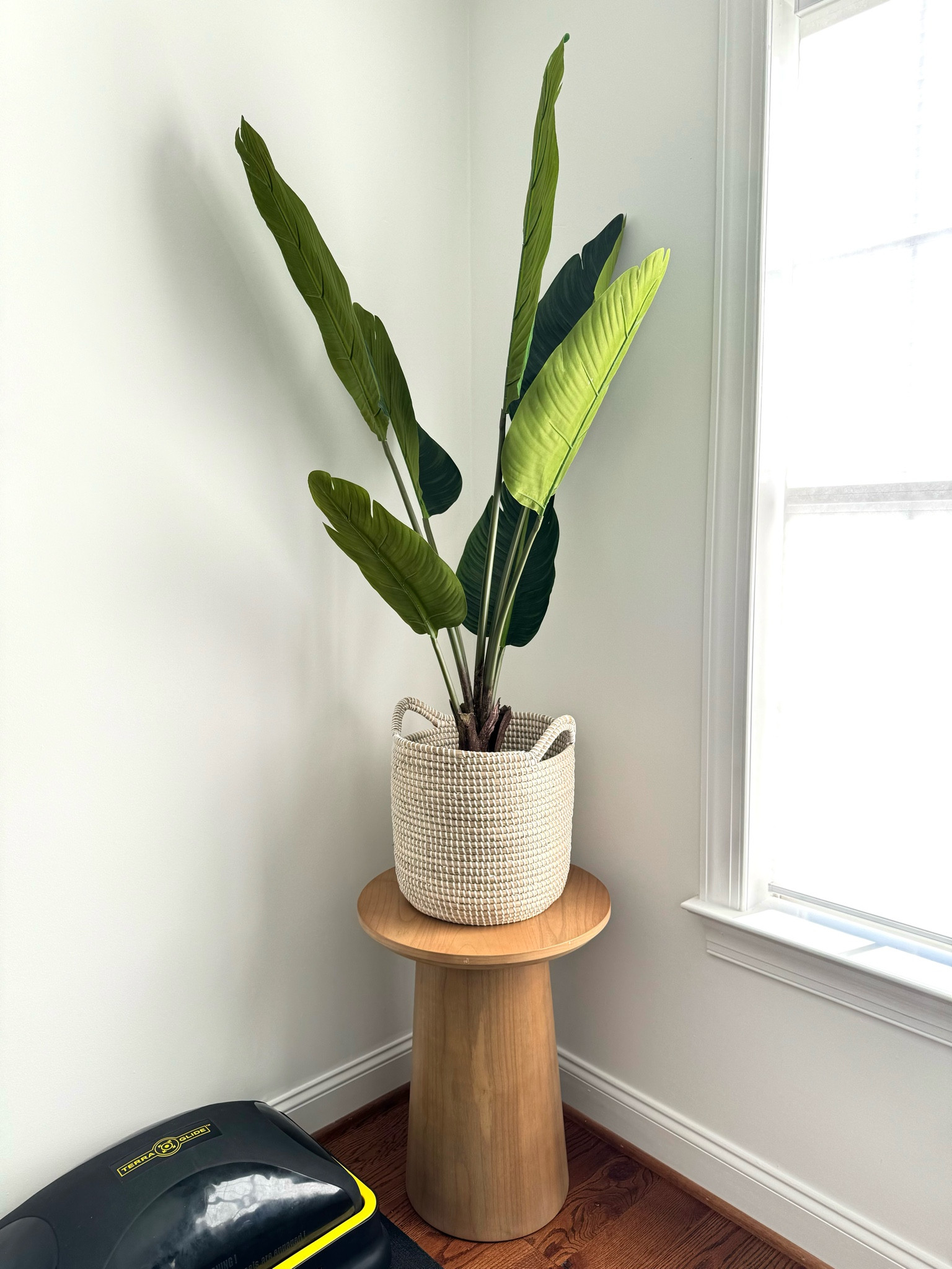 My fave wooden side table is back in the natural wood in a slightly smaller size! 

Side table, wood table, target, home decor 

#LTKstyletip #LTKfindsunder100 #LTKsalealert