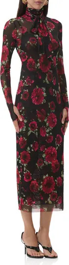 Bryony Long Sleeve Polka Dot Mesh Dress | Nordstrom