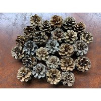 Pine Cones, Red Smaller in Size, Apprx 1 1/2 Inch Wide & One High, 100 Count | Etsy (US)