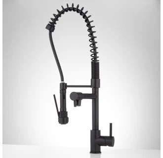 Levi 1.8 GPM Pre-Rinse Kitchen Faucet - Includes Integrated Second Straight Spout | Build.com, Inc.
