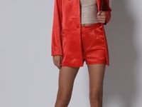 PASSIONE SATIN SHORTS | AKIRA