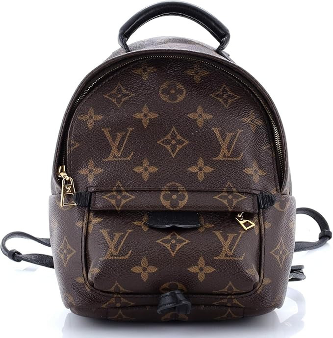 Amazon.com: Louis Vuitton, Pre-Loved Palm Springs Backpack Monogram Canvas Mini, Brown : Amazon L... | Amazon (US)