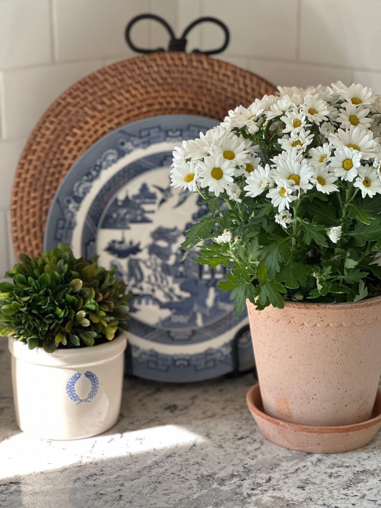Summer kitchen counter styling with blue willow, a terracotta scalloped pot and a cute ceramic crock with a boxwood.

#ltkblueandwhite #ltksummer #ltkfarmhousepottery

#LTKSeasonal #LTKHome #LTKSaleAlert