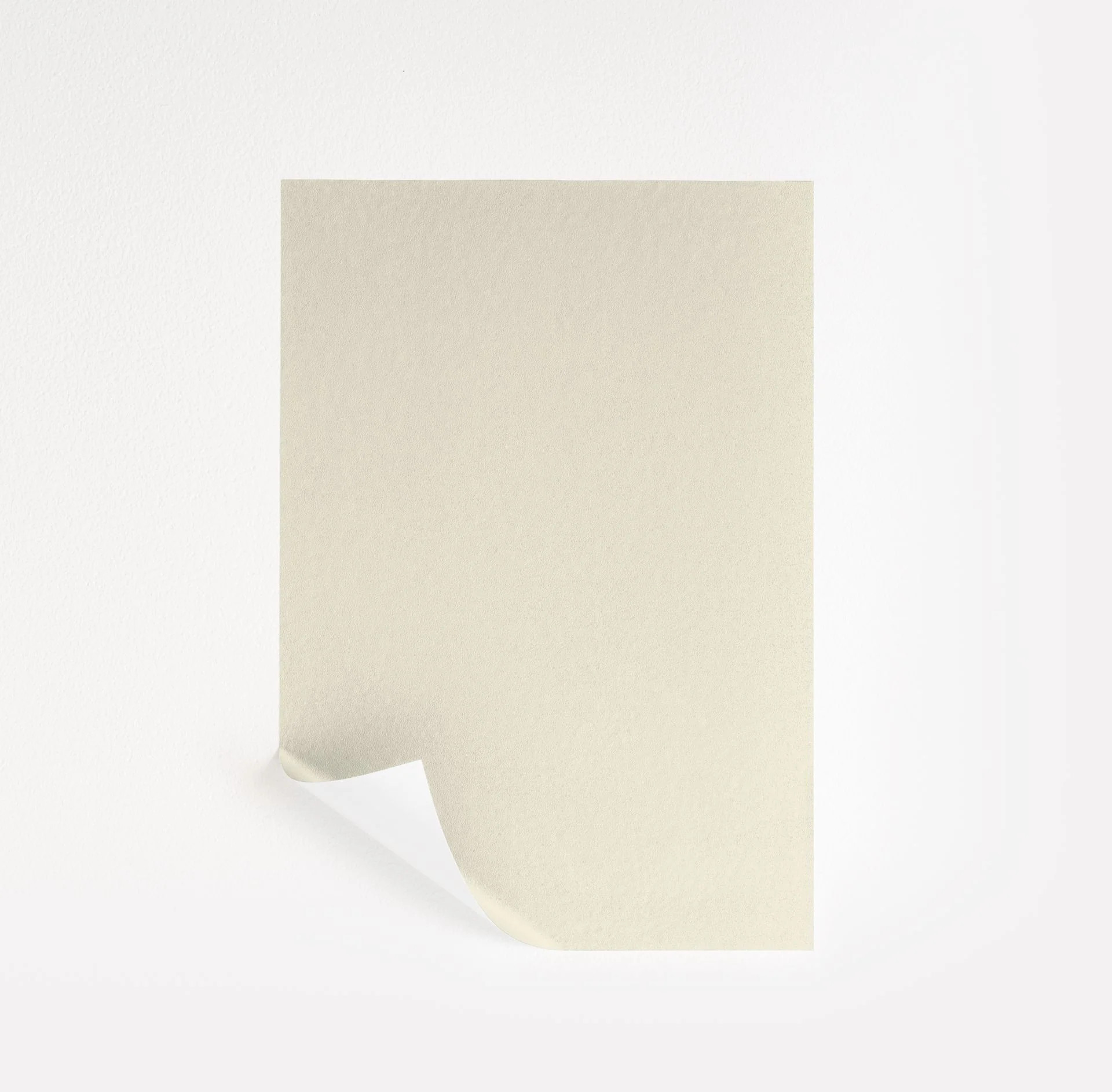 Timid White | Samplize