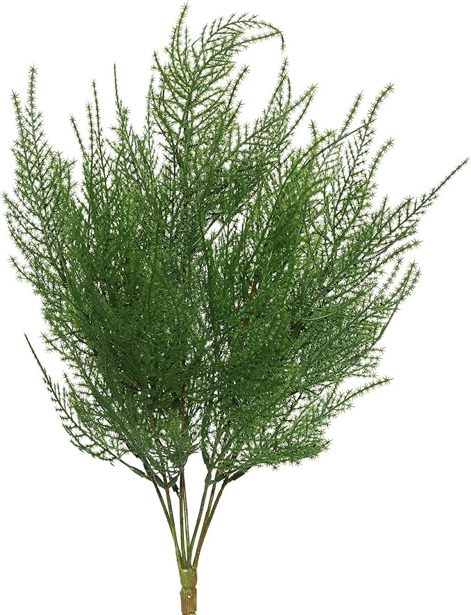 Vickerman 19.5" Artificial Green Asparagus Bush - Faux Indoor Plant Bush - Greenery for Home Or O... | Amazon (US)