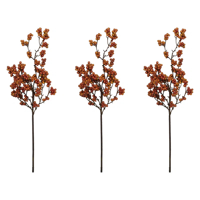 Berry Arrangement (Set of 3) | Wayfair North America