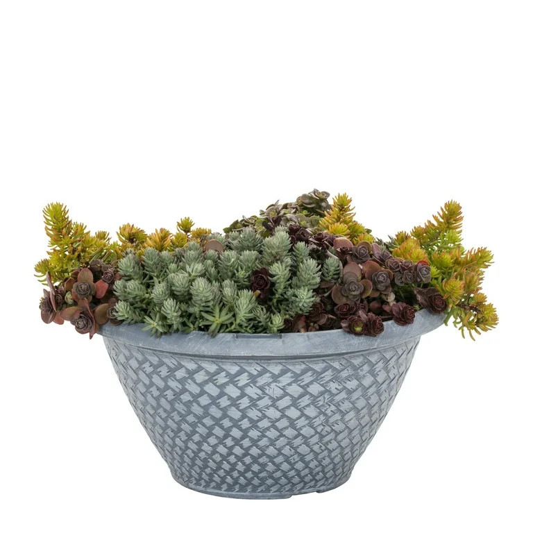Expert Gardener 3QT Multicolor Sedum Live Perennial Plant Decorative Pot Sun | Walmart (US)
