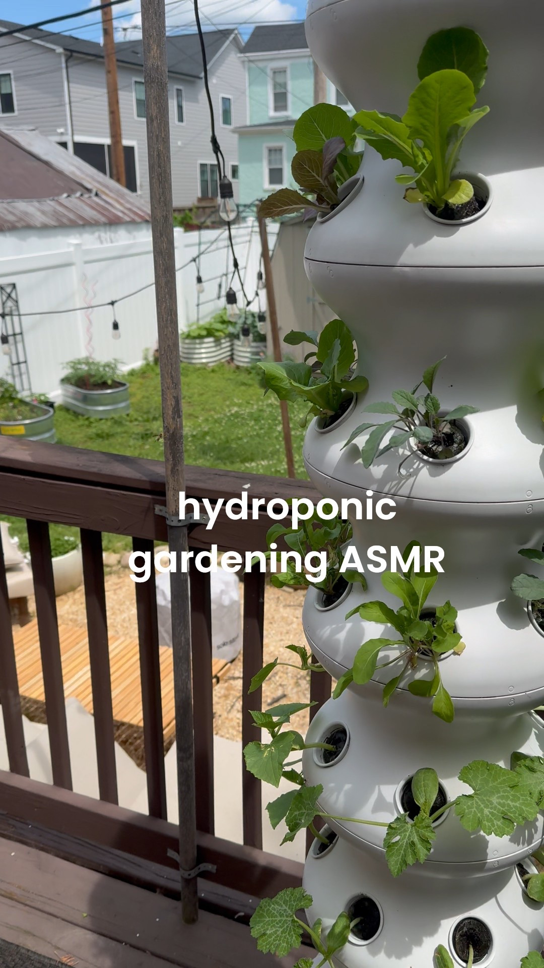 my lettuce babies are thriving this year in our Lettuce Grow Farmstand 😍

#LTKHome #LTKSeasonal #LTKFamily