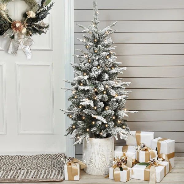 Hannia 4' Lighted Pine Christmas Tree | Wayfair North America