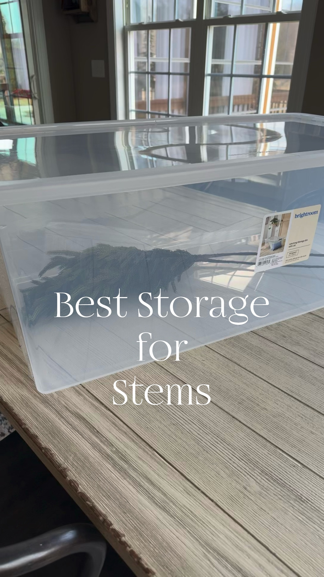 I find these large totes the best for storing all my stems!! I have one for each season.



#LTKSeasonal #LTKHoliday #LTKHome