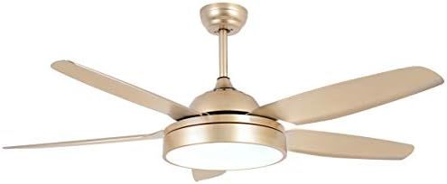 Morpholife Gold Ceiling Fan With Light, Champagne Chandelier Fan, Copper Electrical Fan With 5 Ab... | Amazon (US)