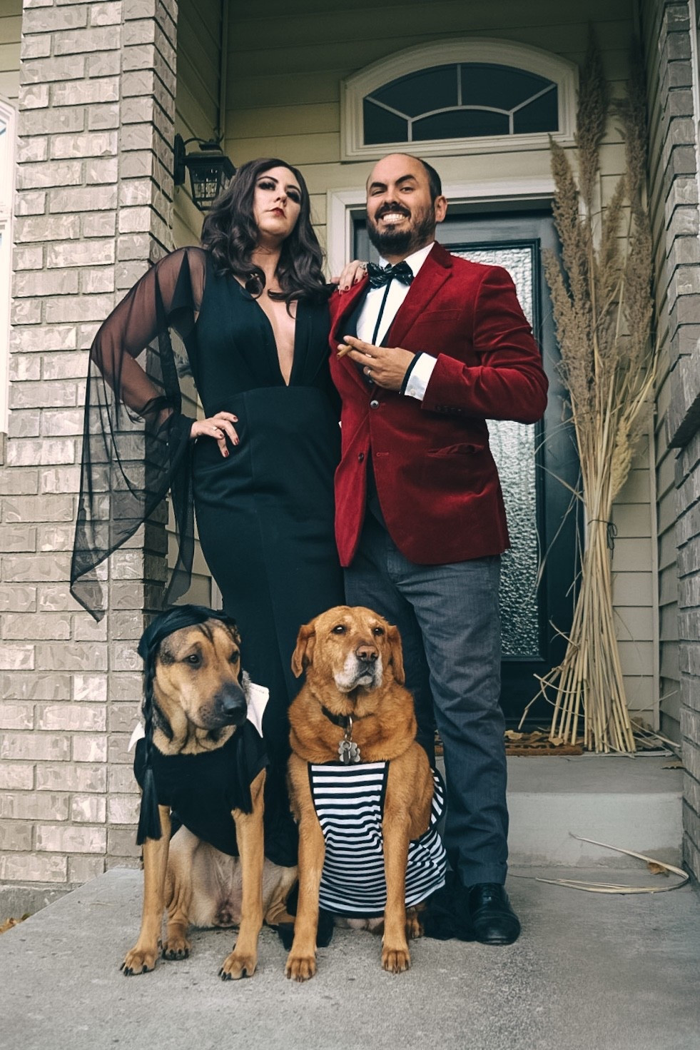 Halloween / Family Costume / Addams Family / Pet Costume 

Another favorite family Halloween costume for us and the dogs! This Addams Family costume was easy with help from Etsy 

As always, you can instantly shop this look and more over on my @shopltk page!

#LTKFamily #LTKSeasonal #LTKHalloween