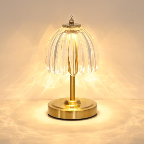 Shenmoyl Tulip Small Table Lamp, 5200mAh Cordless Touch Control Mini Table Lamp with 3 Color Temps & Stepless Dimming, Perfect for Small Spaces like Dressers, Bedsides, Bookshelves (Transparent Tulip) | Amazon (US)