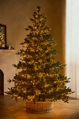 Faux Twinkling Pre-Lit Carolina Fraser Tree, 7.5’ | Anthropologie (US)