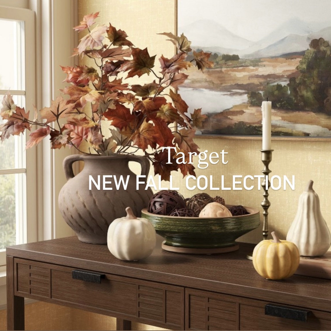 New fall collection at Target! So many new finds to style! Pumpkins, florals, wreaths, vases+ more! @Target

#LTKHome #LTKdayinmylife #LTKSeasonal