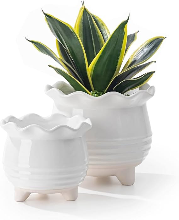 Amazon.com: Fayoula Ceramic Planter, 2 Piece Ceramic Planter Set with Drainage Hole for Home and ... | Amazon (US)