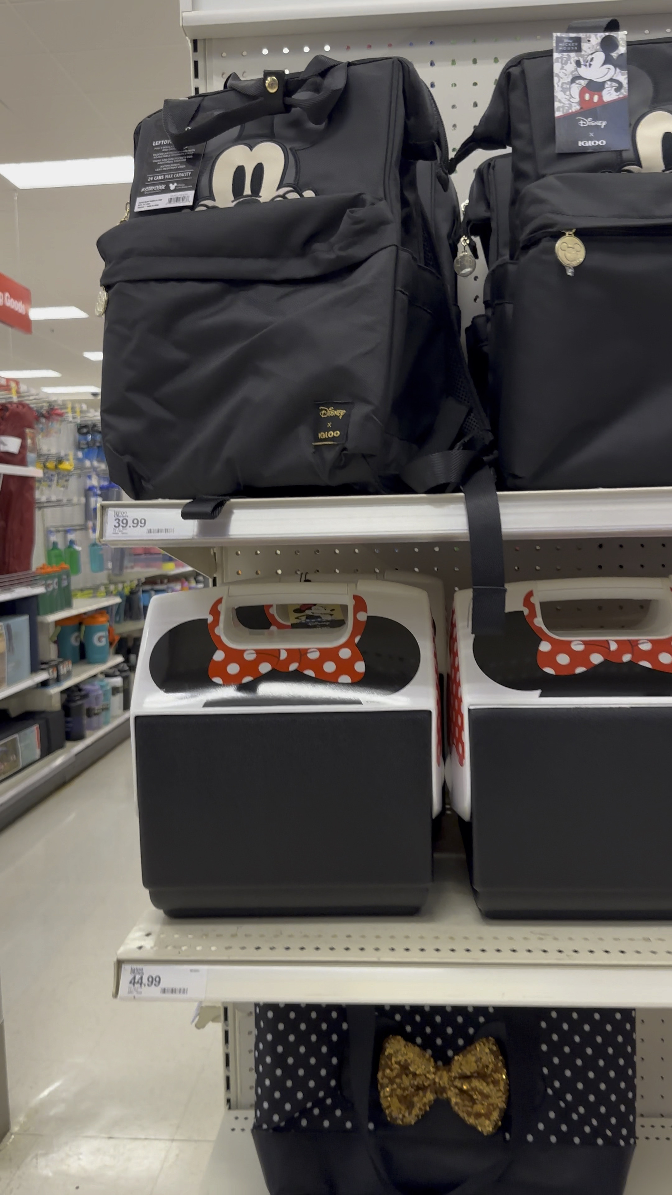 Came across a whole endcap of Disney Igloo coolers at Target today. I could care less if it’s technically a cooler - I really want that Mickey backpack 😍

#LTKSeasonal #LTKtravel