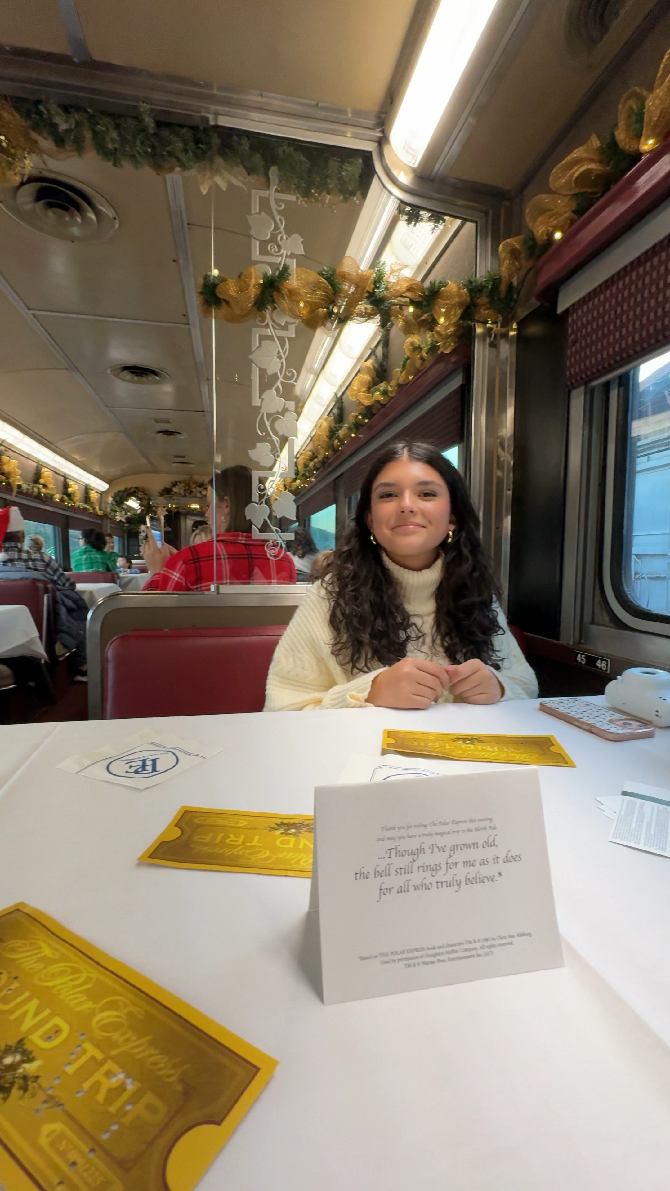 At the polar express!!!🎄🚂✨ Linking all the cozy sweaters for yall!

#LTKGiftGuide #LTKSeasonal #LTKHoliday