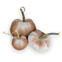 Beige Velvet Pumpkin With A Real Stem, Fall Decor, Sold Individually | Etsy (US)