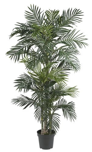 Nearly Natural 5289 6.5ft. Golden Cane Palm Silk Tree,Green | Amazon (US)