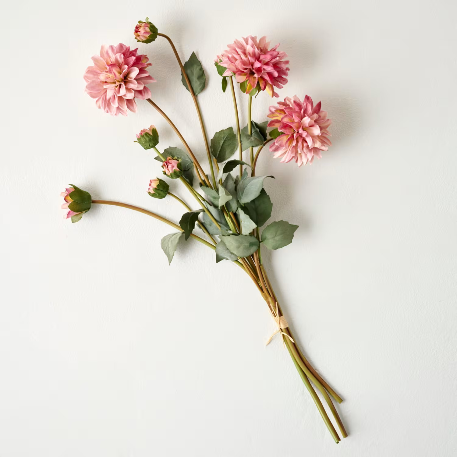 Dahlia Bloom Bundle | Magnolia
