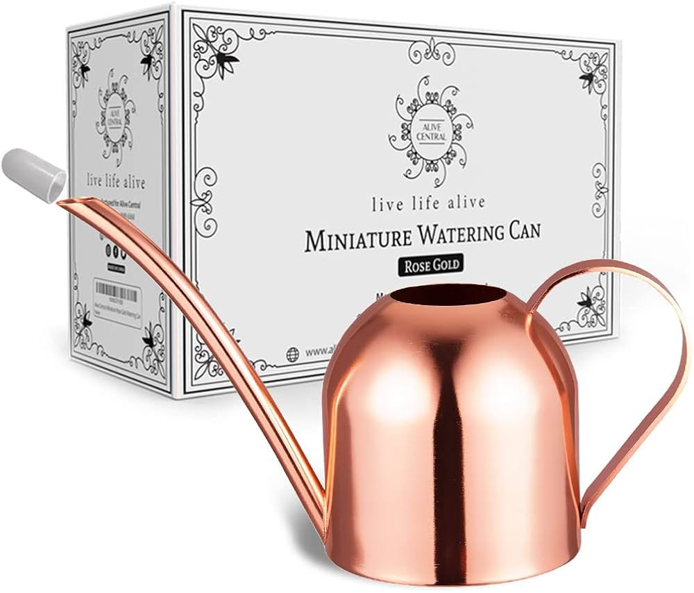 Small Watering Can for Indoor Plants - Mini Watering Can - Rose Gold | Amazon (US)