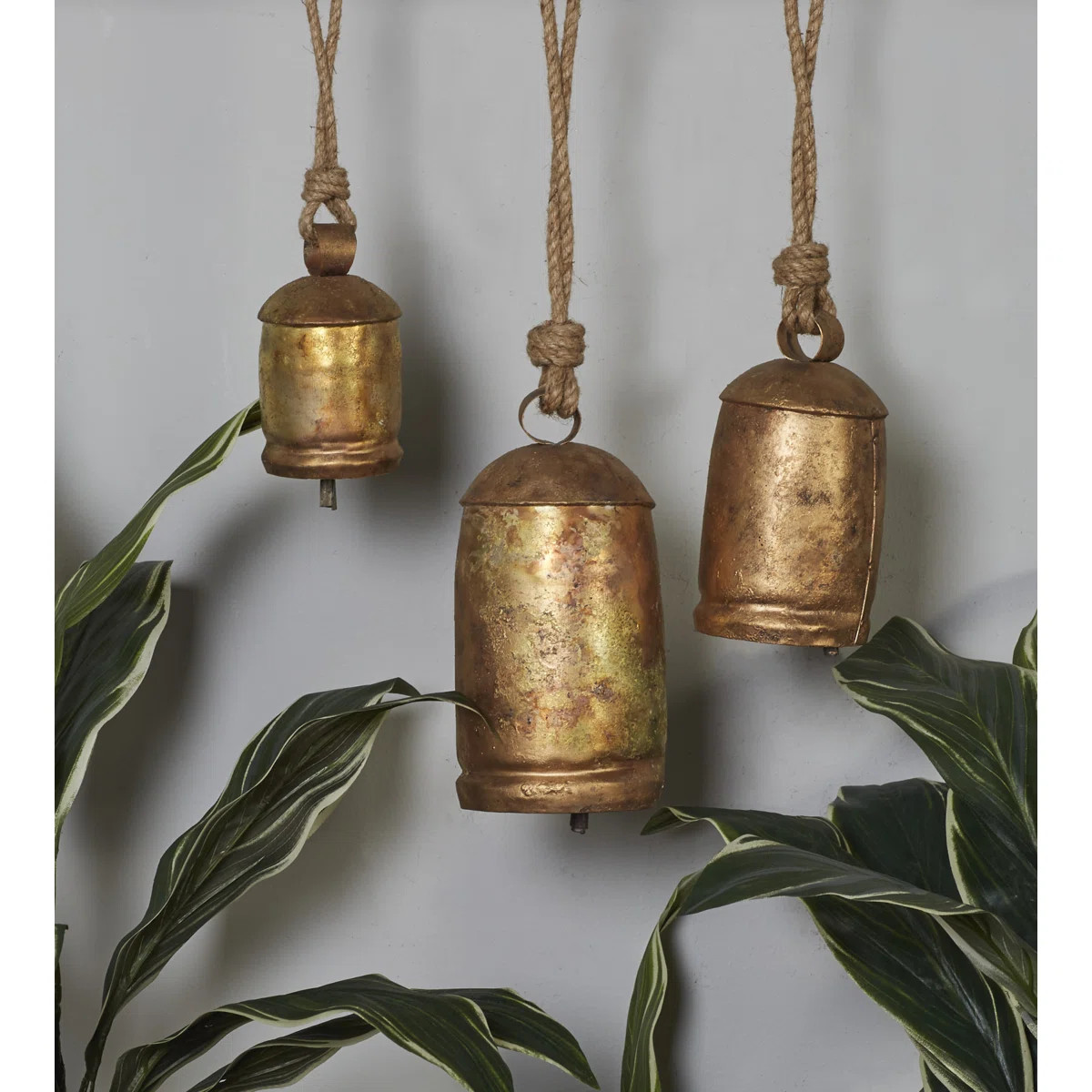 ByBungalow Rose | Wayfair North America