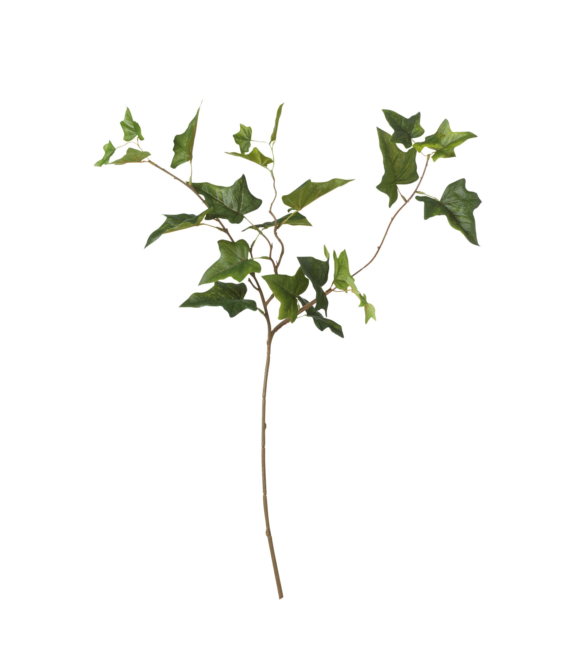 Faux Ivy Stem - Green | OKA US