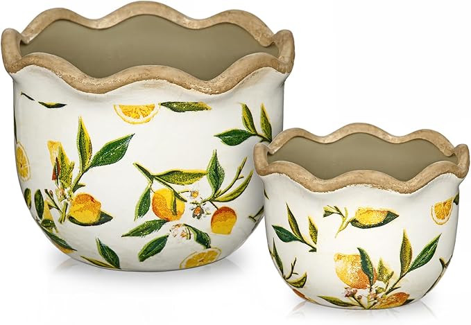 Rustic Farmhouse Ceramic Plant Pots, 6.6 + 5.5 inch Yellow and White Plant Pot with Drainage Hole... | Amazon (US)