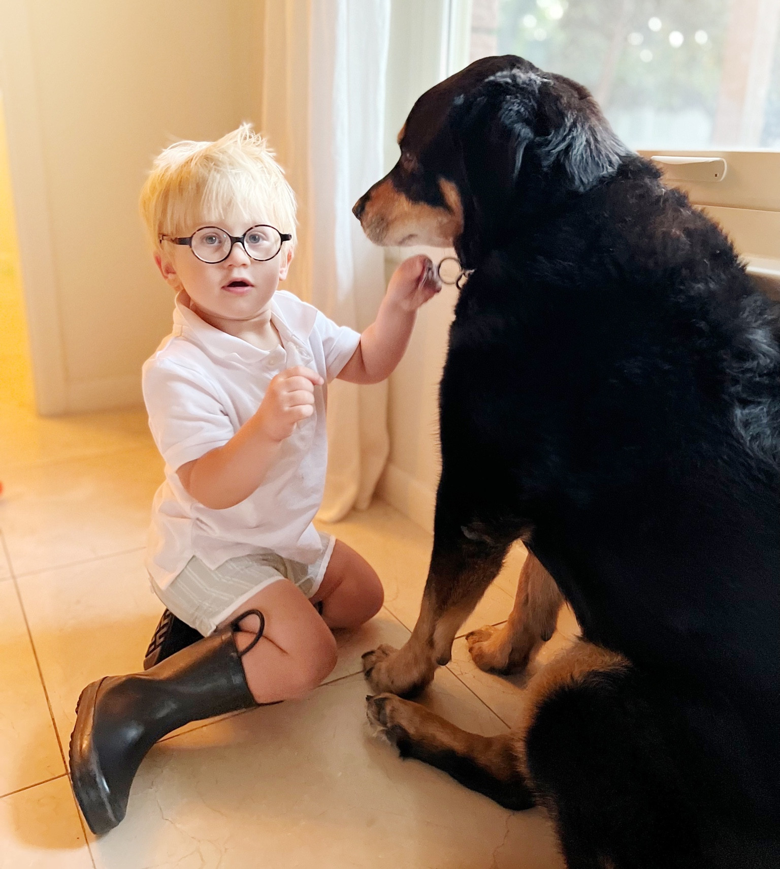 Boots wore this to school and he loves to stomp in the mud and the water in his classic rain boots. 

#LTKunder50 #LTKfamily #LTKkids