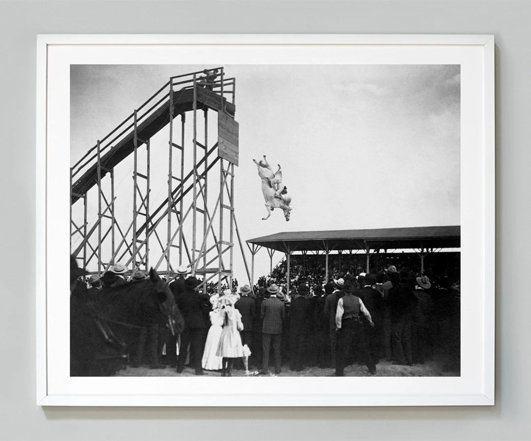 My favorite vintage print! 

#LTKSeasonal #LTKHoliday #LTKHome