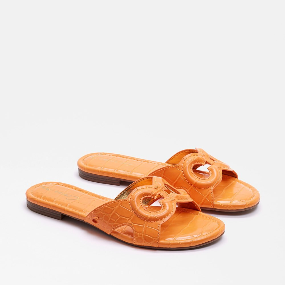 Cate Slide Sandal | Circus by Sam Edelman