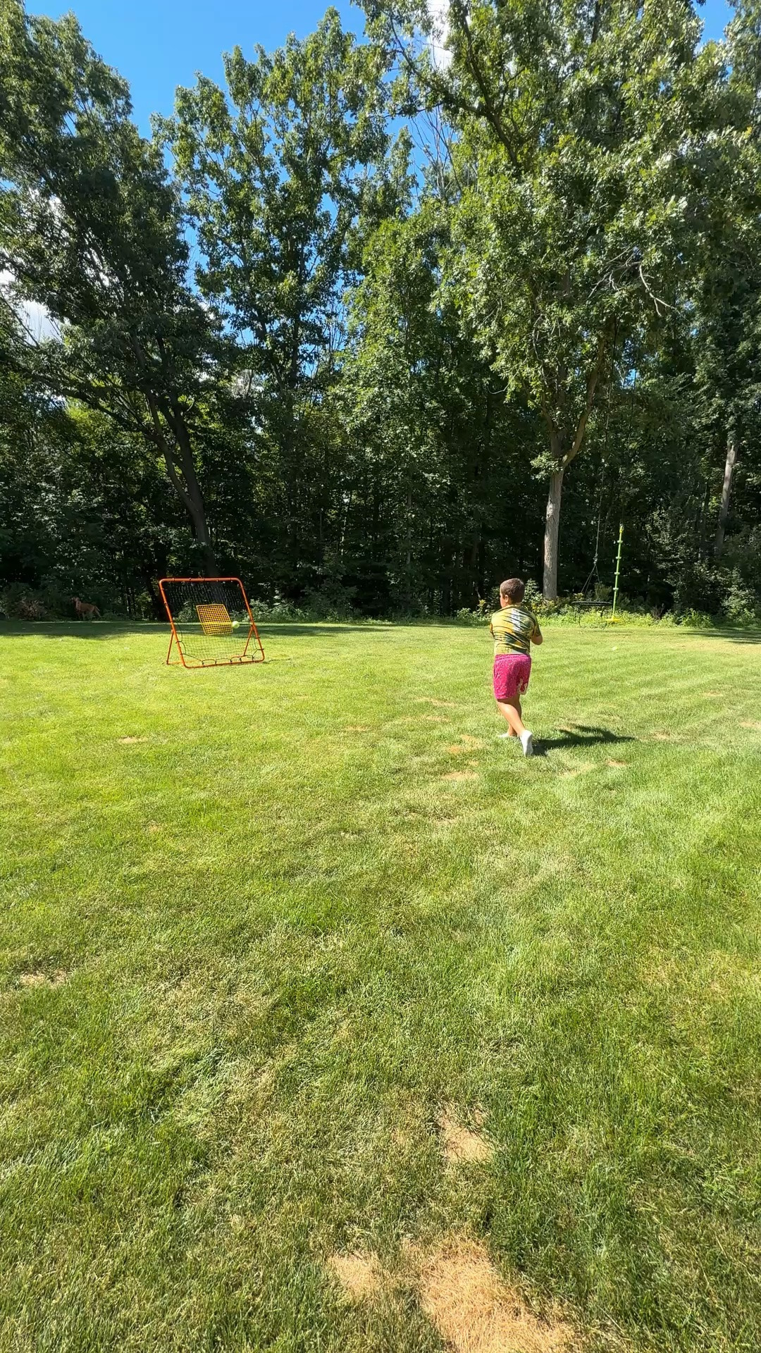 This net for practicing many sports in on drop! Great for off-season practicing!

#LTKfitnessgoals #LTKKids #LTKSaleAlert