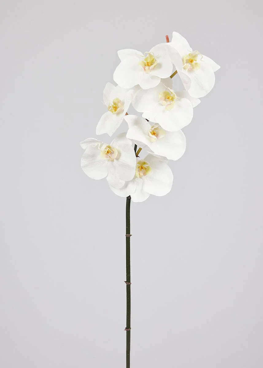 White Faux Real Touch Phalaenopsis Orchid - 37.5" | Afloral