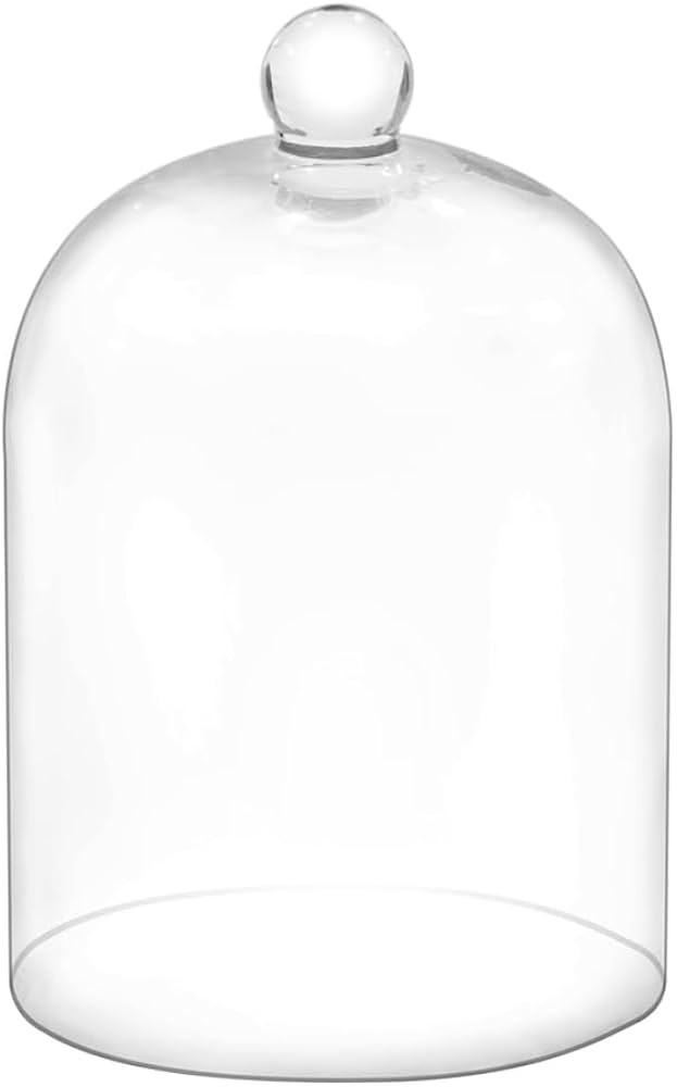 7.5" Tall Handmade Glass Cloche, Thick & Sturdy, Dia 5"xH 7.5", For Terrarium, Plants, Trinkets, ... | Amazon (US)