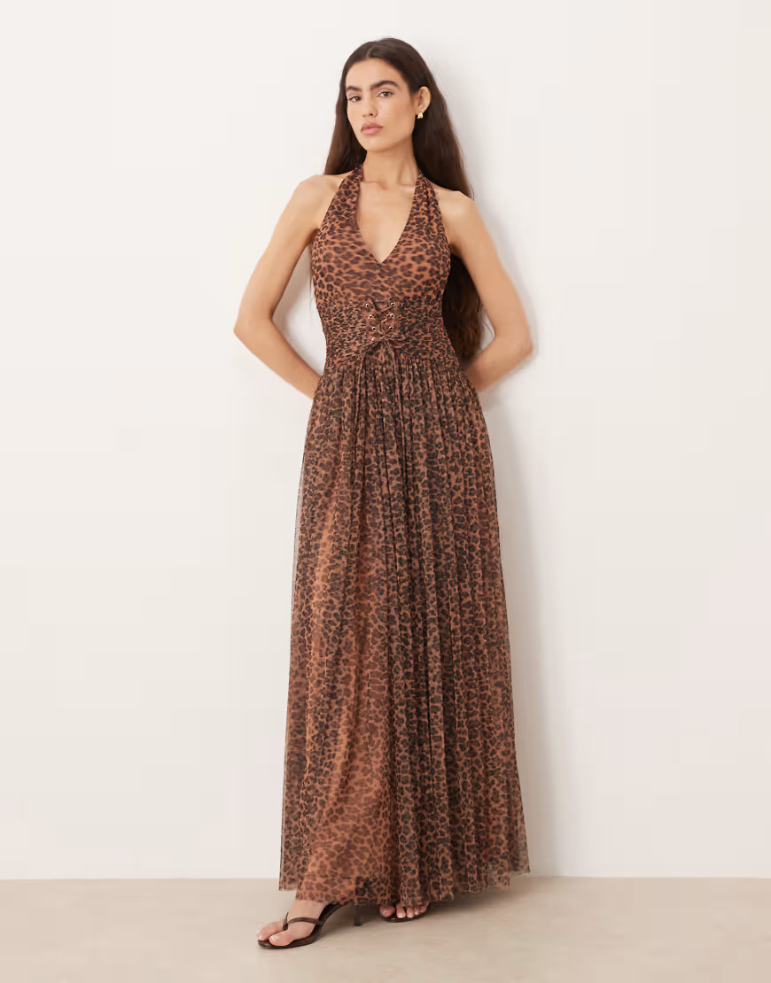 Lace & Beads tulle halter lace up corset detail maxi dress in leopard print-Brown | ASOS (Global)